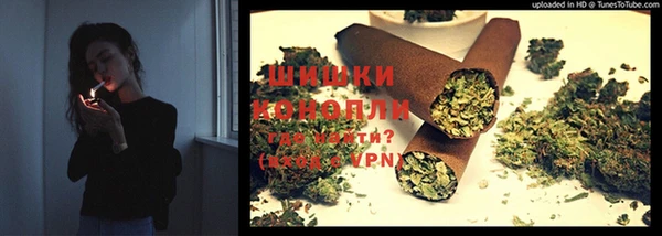 трава Бородино