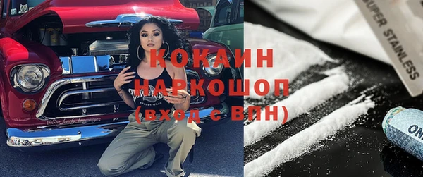 трава Бородино